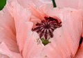 184 foto MVervoorn IMG_5378